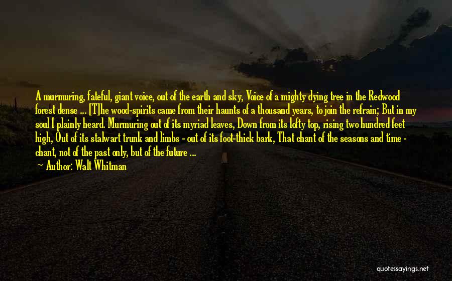 Walt Whitman Quotes: A Murmuring, Fateful, Giant Voice, Out Of The Earth And Sky, Voice Of A Mighty Dying Tree In The Redwood