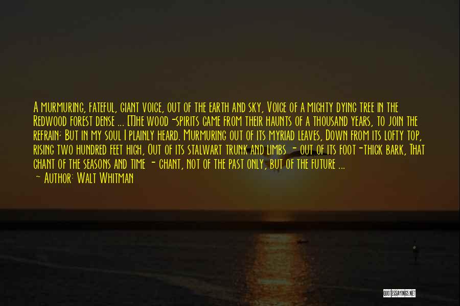 Walt Whitman Quotes: A Murmuring, Fateful, Giant Voice, Out Of The Earth And Sky, Voice Of A Mighty Dying Tree In The Redwood