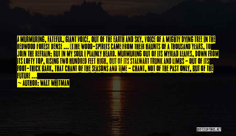 Walt Whitman Quotes: A Murmuring, Fateful, Giant Voice, Out Of The Earth And Sky, Voice Of A Mighty Dying Tree In The Redwood