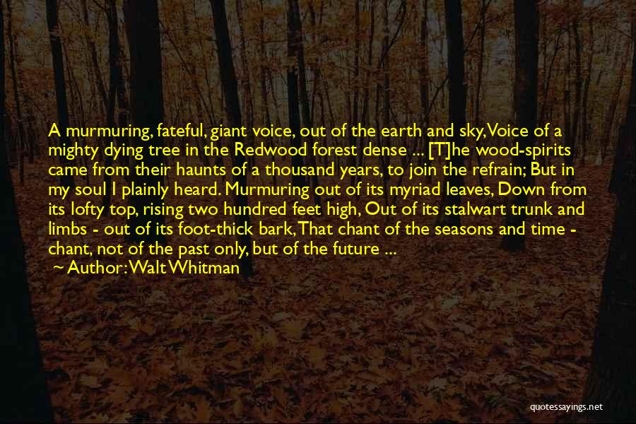 Walt Whitman Quotes: A Murmuring, Fateful, Giant Voice, Out Of The Earth And Sky, Voice Of A Mighty Dying Tree In The Redwood