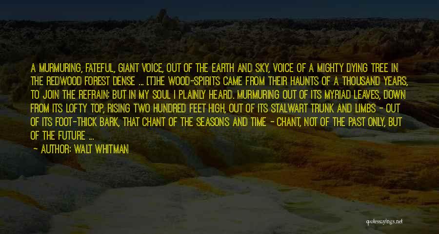 Walt Whitman Quotes: A Murmuring, Fateful, Giant Voice, Out Of The Earth And Sky, Voice Of A Mighty Dying Tree In The Redwood