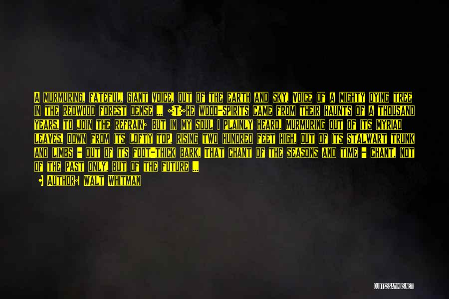 Walt Whitman Quotes: A Murmuring, Fateful, Giant Voice, Out Of The Earth And Sky, Voice Of A Mighty Dying Tree In The Redwood