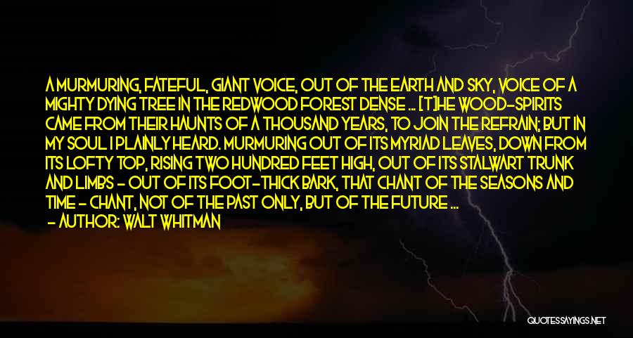 Walt Whitman Quotes: A Murmuring, Fateful, Giant Voice, Out Of The Earth And Sky, Voice Of A Mighty Dying Tree In The Redwood