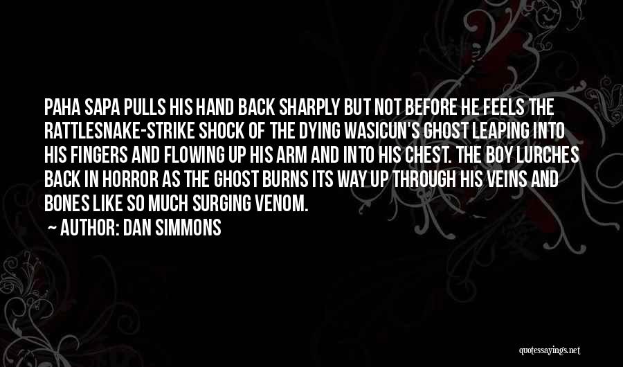 Dan Simmons Quotes: Paha Sapa Pulls His Hand Back Sharply But Not Before He Feels The Rattlesnake-strike Shock Of The Dying Wasicun's Ghost