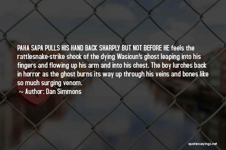 Dan Simmons Quotes: Paha Sapa Pulls His Hand Back Sharply But Not Before He Feels The Rattlesnake-strike Shock Of The Dying Wasicun's Ghost