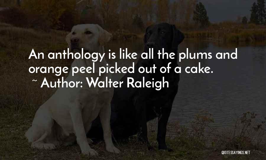 Walter Raleigh Quotes: An Anthology Is Like All The Plums And Orange Peel Picked Out Of A Cake.