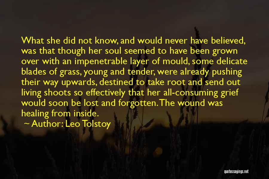 Leo Tolstoy Quotes: What She Did Not Know, And Would Never Have Believed, Was That Though Her Soul Seemed To Have Been Grown