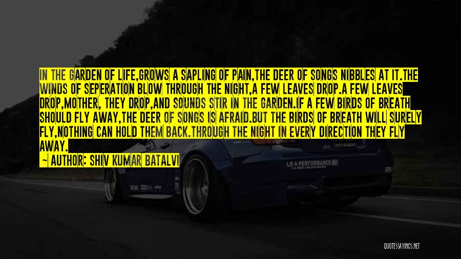 Shiv Kumar Batalvi Quotes: In The Garden Of Life,grows A Sapling Of Pain,the Deer Of Songs Nibbles At It.the Winds Of Seperation Blow Through