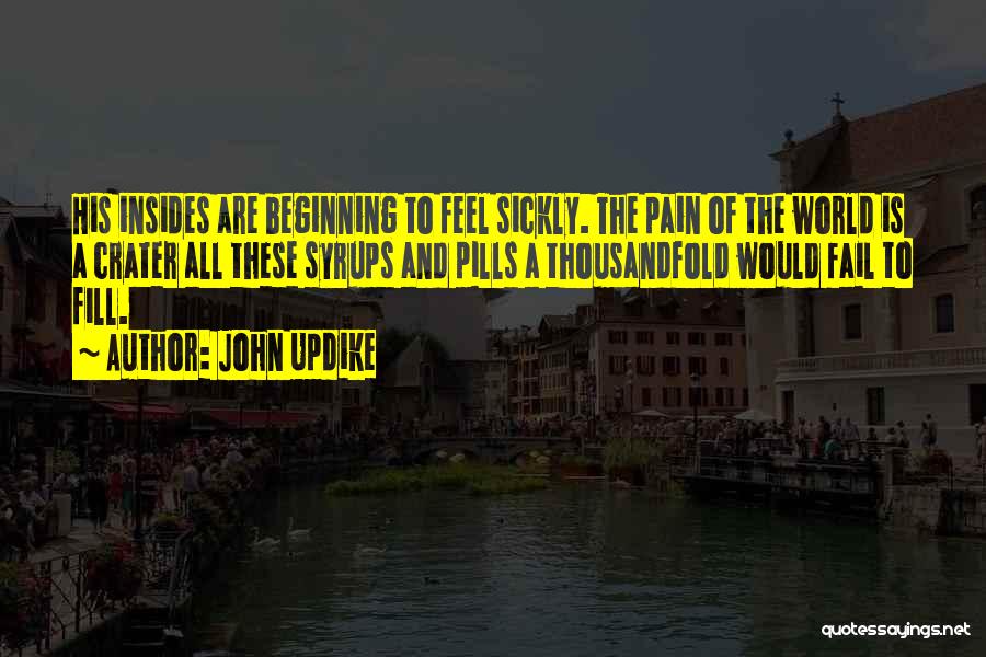 John Updike Quotes: His Insides Are Beginning To Feel Sickly. The Pain Of The World Is A Crater All These Syrups And Pills