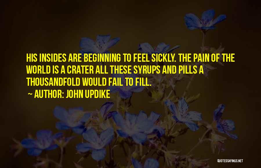 John Updike Quotes: His Insides Are Beginning To Feel Sickly. The Pain Of The World Is A Crater All These Syrups And Pills