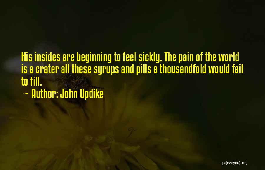 John Updike Quotes: His Insides Are Beginning To Feel Sickly. The Pain Of The World Is A Crater All These Syrups And Pills