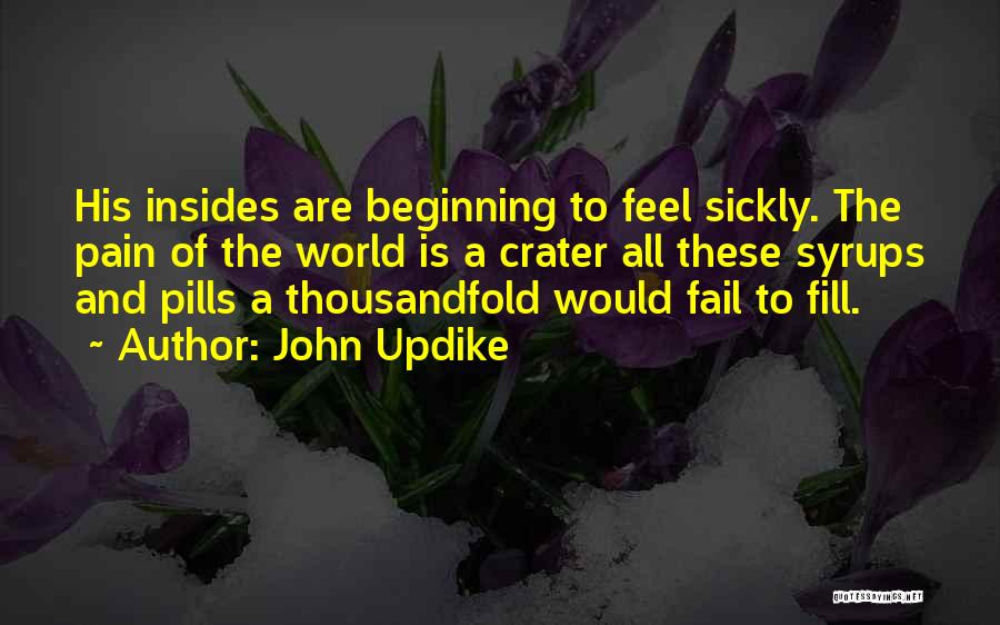 John Updike Quotes: His Insides Are Beginning To Feel Sickly. The Pain Of The World Is A Crater All These Syrups And Pills