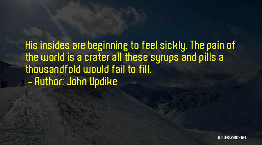 John Updike Quotes: His Insides Are Beginning To Feel Sickly. The Pain Of The World Is A Crater All These Syrups And Pills