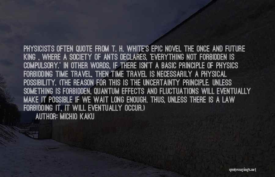 Michio Kaku Quotes: Physicists Often Quote From T. H. White's Epic Novel The Once And Future King , Where A Society Of Ants