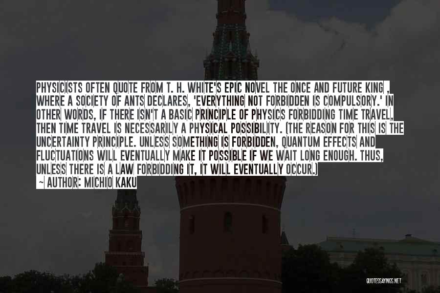 Michio Kaku Quotes: Physicists Often Quote From T. H. White's Epic Novel The Once And Future King , Where A Society Of Ants