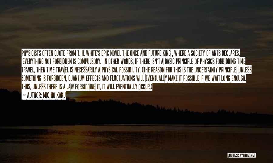 Michio Kaku Quotes: Physicists Often Quote From T. H. White's Epic Novel The Once And Future King , Where A Society Of Ants