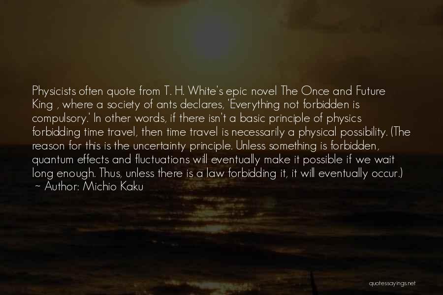 Michio Kaku Quotes: Physicists Often Quote From T. H. White's Epic Novel The Once And Future King , Where A Society Of Ants