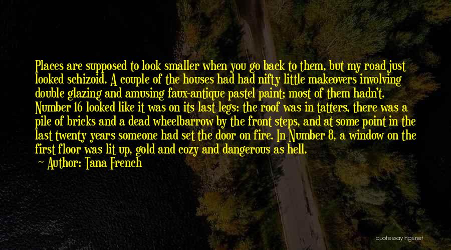 Tana French Quotes: Places Are Supposed To Look Smaller When You Go Back To Them, But My Road Just Looked Schizoid. A Couple