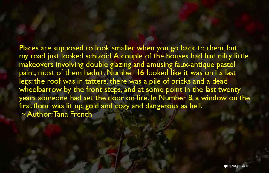 Tana French Quotes: Places Are Supposed To Look Smaller When You Go Back To Them, But My Road Just Looked Schizoid. A Couple