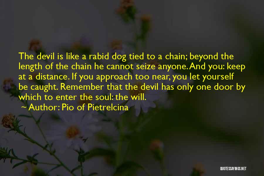 Pio Of Pietrelcina Quotes: The Devil Is Like A Rabid Dog Tied To A Chain; Beyond The Length Of The Chain He Cannot Seize