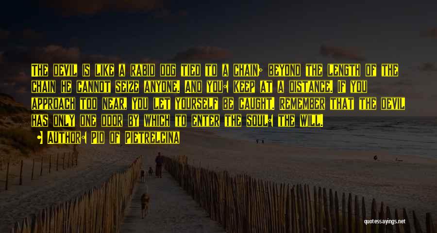 Pio Of Pietrelcina Quotes: The Devil Is Like A Rabid Dog Tied To A Chain; Beyond The Length Of The Chain He Cannot Seize