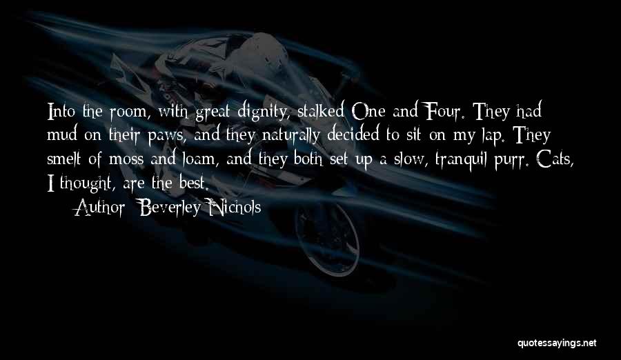 Beverley Nichols Quotes: Into The Room, With Great Dignity, Stalked One And Four. They Had Mud On Their Paws, And They Naturally Decided