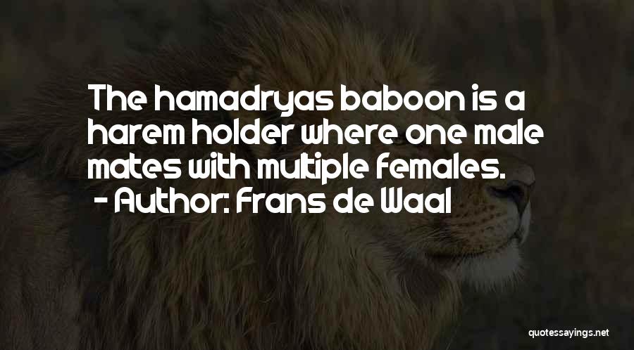 Frans De Waal Quotes: The Hamadryas Baboon Is A Harem Holder Where One Male Mates With Multiple Females.
