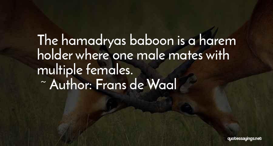 Frans De Waal Quotes: The Hamadryas Baboon Is A Harem Holder Where One Male Mates With Multiple Females.