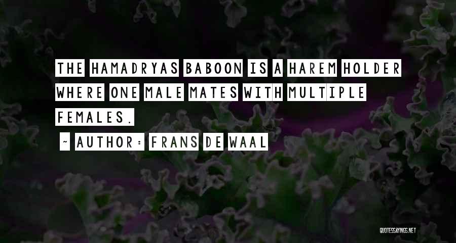 Frans De Waal Quotes: The Hamadryas Baboon Is A Harem Holder Where One Male Mates With Multiple Females.