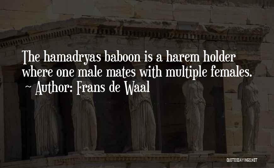 Frans De Waal Quotes: The Hamadryas Baboon Is A Harem Holder Where One Male Mates With Multiple Females.