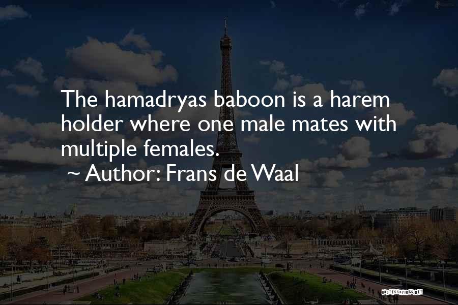 Frans De Waal Quotes: The Hamadryas Baboon Is A Harem Holder Where One Male Mates With Multiple Females.