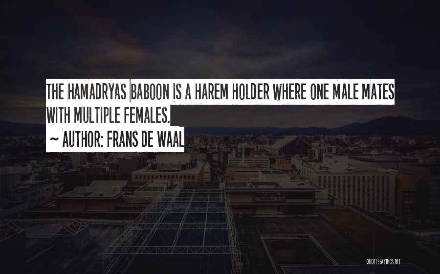 Frans De Waal Quotes: The Hamadryas Baboon Is A Harem Holder Where One Male Mates With Multiple Females.