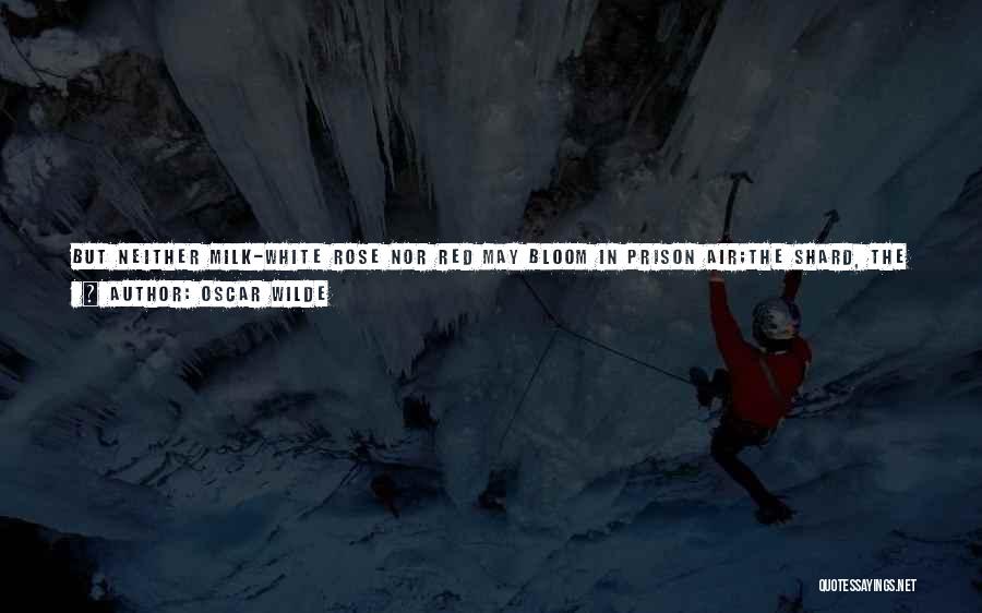 Oscar Wilde Quotes: But Neither Milk-white Rose Nor Red May Bloom In Prison Air;the Shard, The Pebble, And The Flint, Are What They