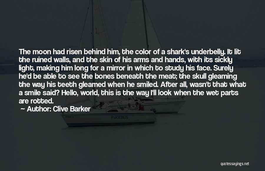 Clive Barker Quotes: The Moon Had Risen Behind Him, The Color Of A Shark's Underbelly. It Lit The Ruined Walls, And The Skin