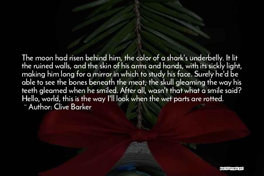 Clive Barker Quotes: The Moon Had Risen Behind Him, The Color Of A Shark's Underbelly. It Lit The Ruined Walls, And The Skin