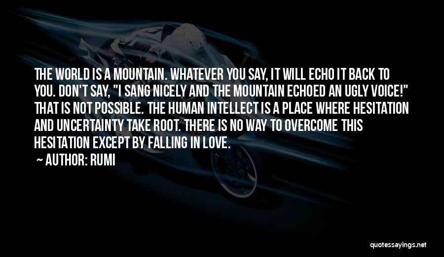 Rumi Quotes: The World Is A Mountain. Whatever You Say, It Will Echo It Back To You. Don't Say, I Sang Nicely