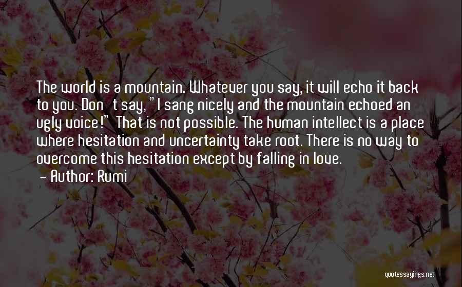 Rumi Quotes: The World Is A Mountain. Whatever You Say, It Will Echo It Back To You. Don't Say, I Sang Nicely