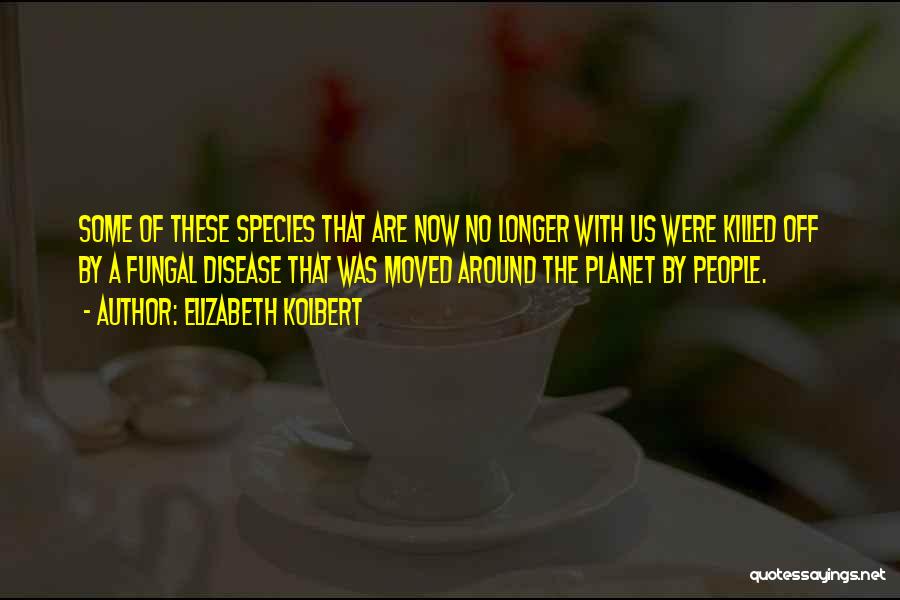 Elizabeth Kolbert Quotes: Some Of These Species That Are Now No Longer With Us Were Killed Off By A Fungal Disease That Was