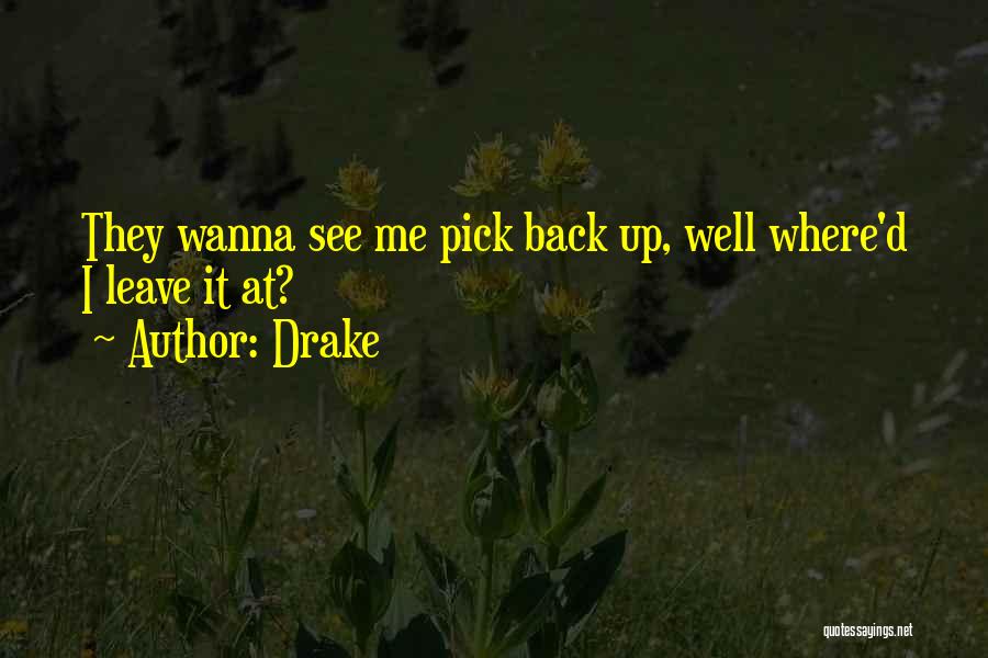 Drake Quotes: They Wanna See Me Pick Back Up, Well Where'd I Leave It At?