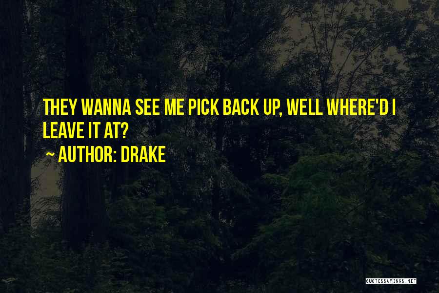 Drake Quotes: They Wanna See Me Pick Back Up, Well Where'd I Leave It At?