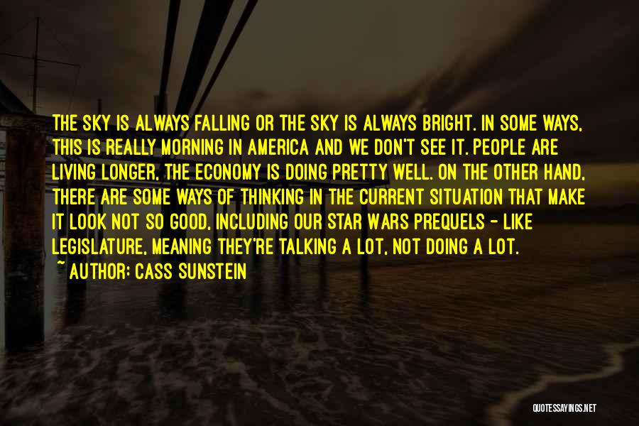 Cass Sunstein Quotes: The Sky Is Always Falling Or The Sky Is Always Bright. In Some Ways, This Is Really Morning In America