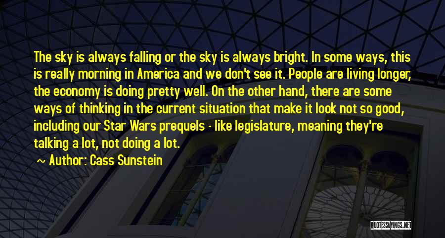 Cass Sunstein Quotes: The Sky Is Always Falling Or The Sky Is Always Bright. In Some Ways, This Is Really Morning In America