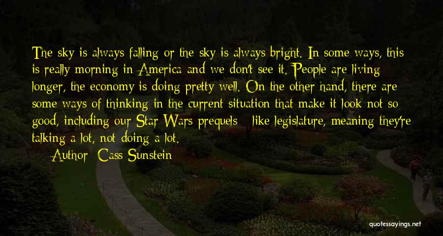 Cass Sunstein Quotes: The Sky Is Always Falling Or The Sky Is Always Bright. In Some Ways, This Is Really Morning In America