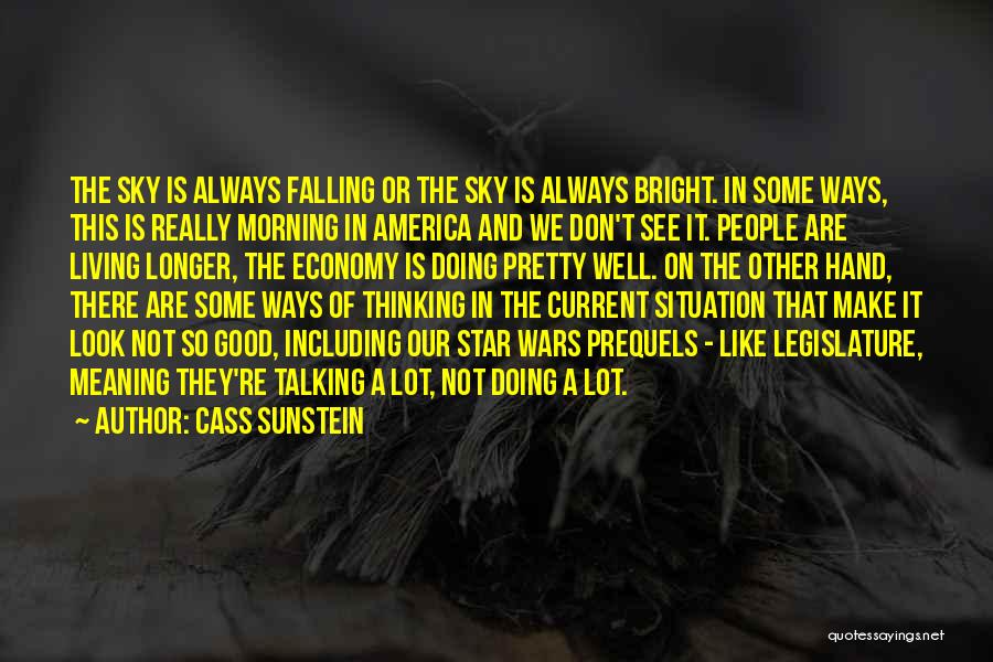Cass Sunstein Quotes: The Sky Is Always Falling Or The Sky Is Always Bright. In Some Ways, This Is Really Morning In America