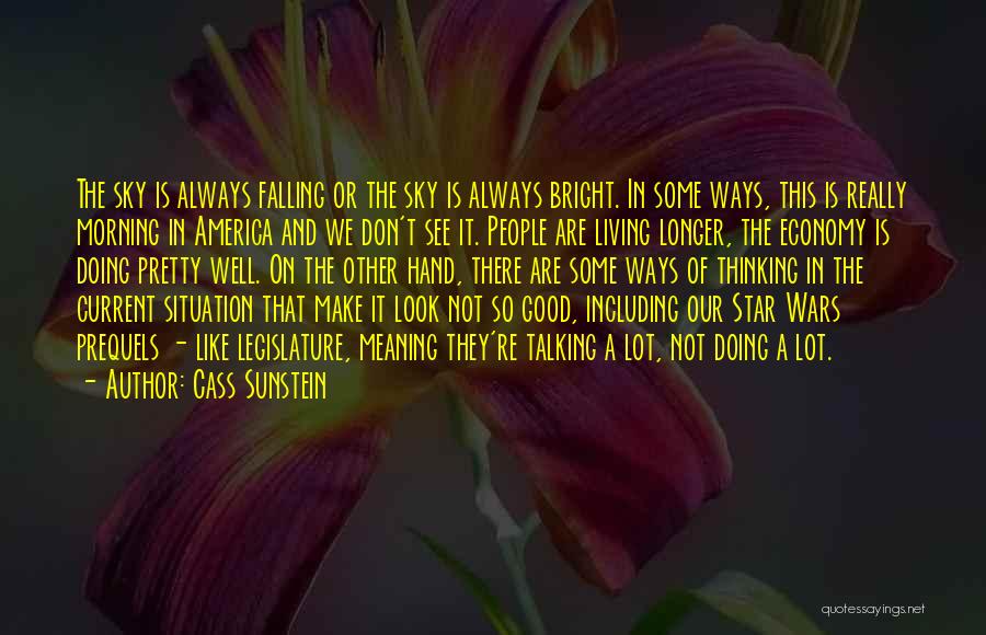 Cass Sunstein Quotes: The Sky Is Always Falling Or The Sky Is Always Bright. In Some Ways, This Is Really Morning In America