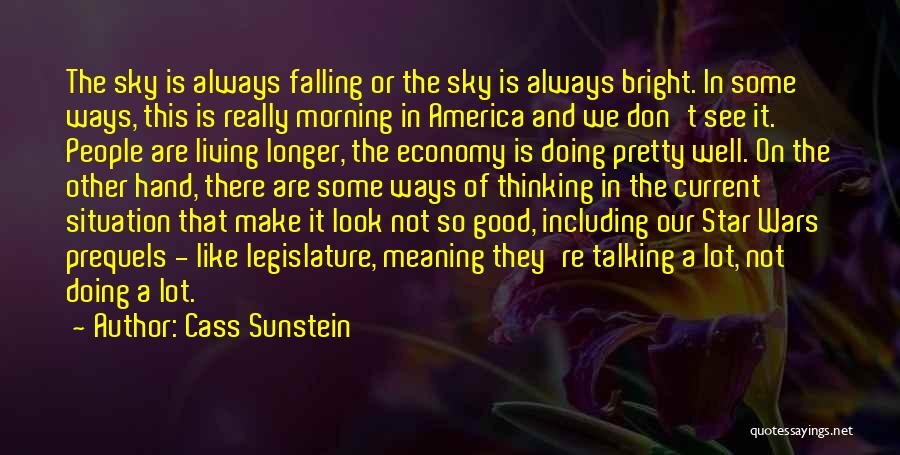 Cass Sunstein Quotes: The Sky Is Always Falling Or The Sky Is Always Bright. In Some Ways, This Is Really Morning In America