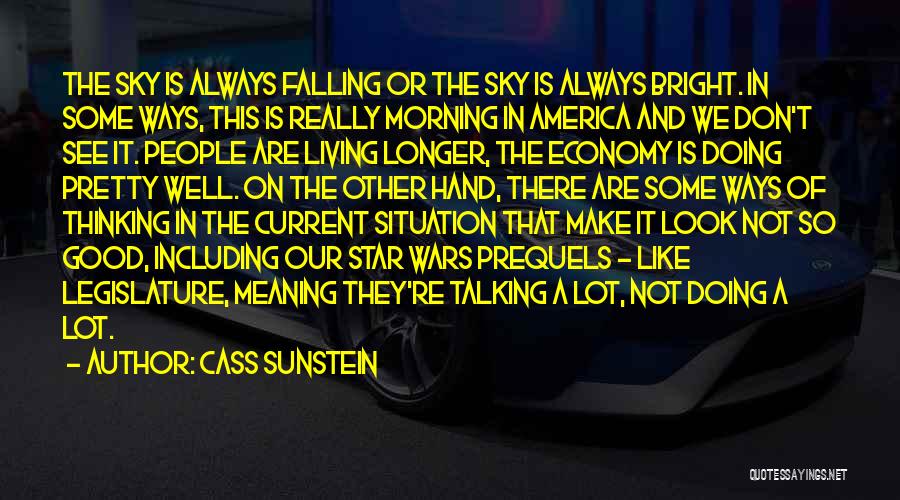 Cass Sunstein Quotes: The Sky Is Always Falling Or The Sky Is Always Bright. In Some Ways, This Is Really Morning In America