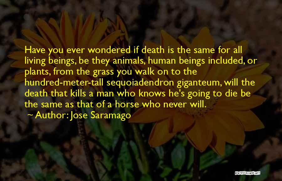 Jose Saramago Quotes: Have You Ever Wondered If Death Is The Same For All Living Beings, Be They Animals, Human Beings Included, Or