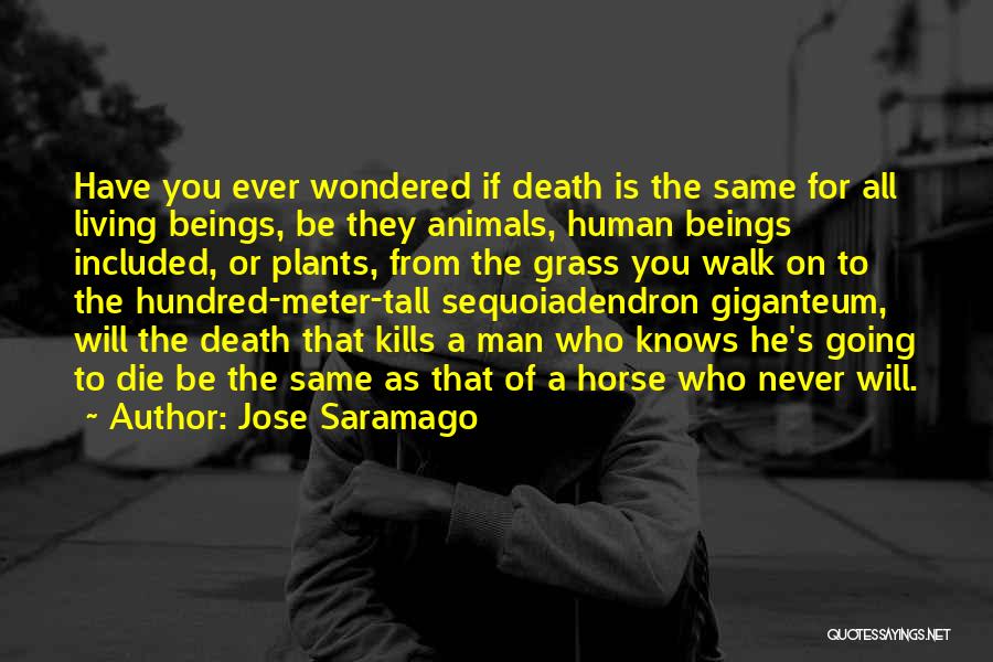 Jose Saramago Quotes: Have You Ever Wondered If Death Is The Same For All Living Beings, Be They Animals, Human Beings Included, Or