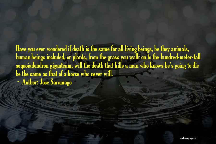 Jose Saramago Quotes: Have You Ever Wondered If Death Is The Same For All Living Beings, Be They Animals, Human Beings Included, Or